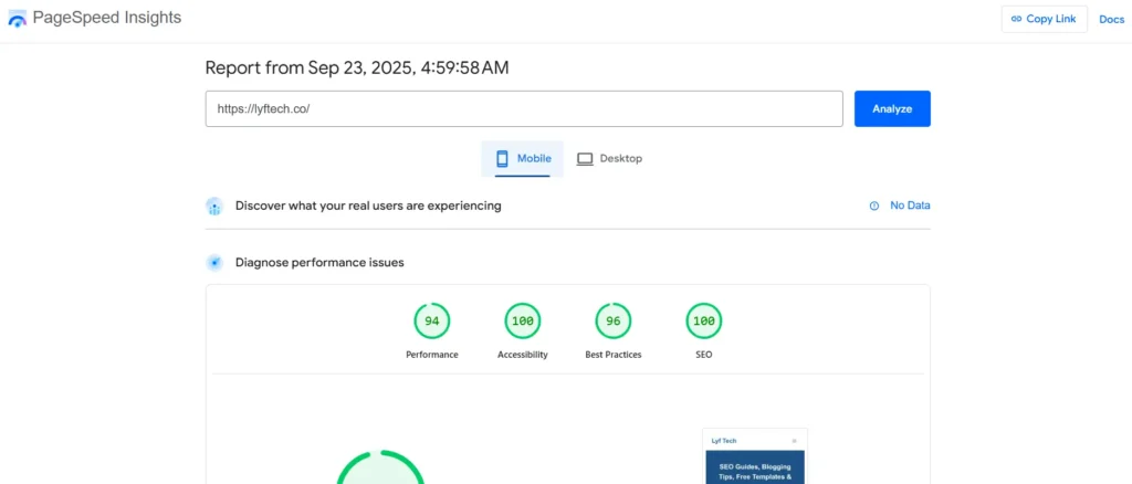 What is Website Speed Optimization? 2 Screenshot of Google Page Speed Insights tool